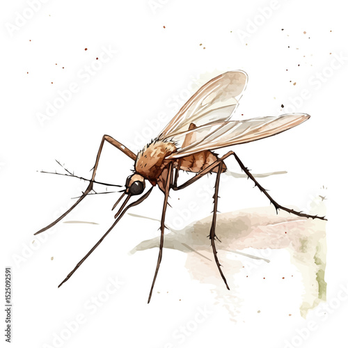 My Watercolor illustration, illustration mosquito painting isolated on a white background, illustration, AI painting design, vector illustration set, eps format