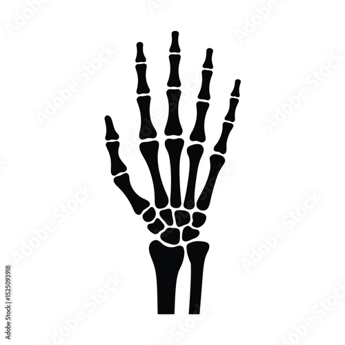 Black Silhouette of a Human Hand Skeleton