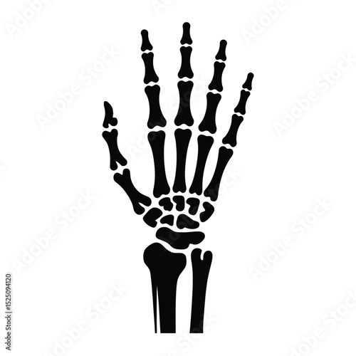 Black Silhouette of Human Hand Skeleton Anatomy