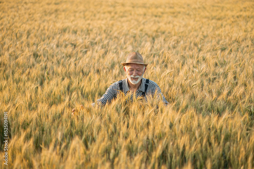 A joyful elderly farmer smiles amidst a golden wheat field, embracing the beauty of nature and his harvest with open arms.