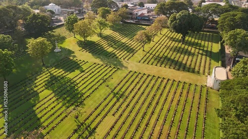 Aerial view of kanchanaburi war cemetery, a peaceful final resting place amidst lush greenery, Thailand.