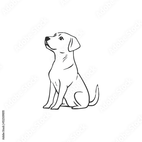 dog and bone