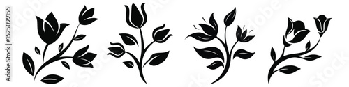 Elegant Black and White Floral Designs:  Silhouette Tulips & Botanical Art