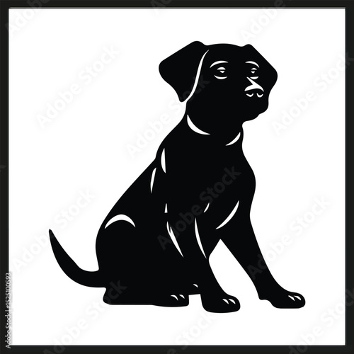 black labrador puppy