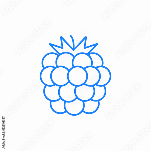 grape bunch icon sign vector