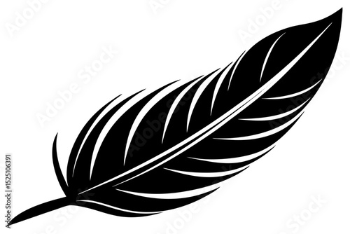 feather vector illustration