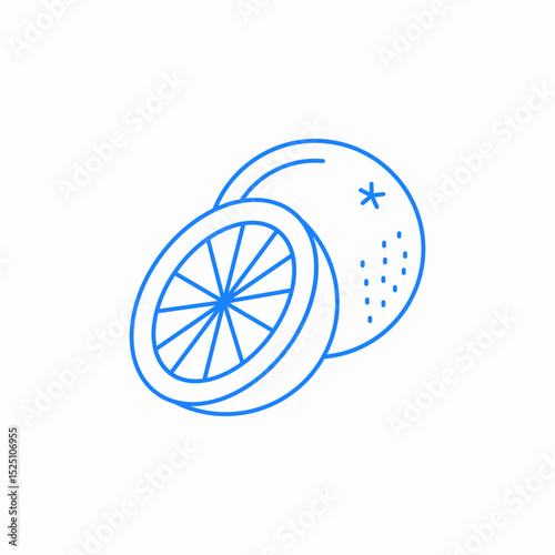 orange halved icon sign vector
