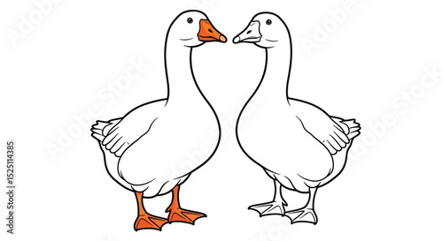 Asian Goose Coloring Page with Detailed Colored and Clear Outline Bird Illustration