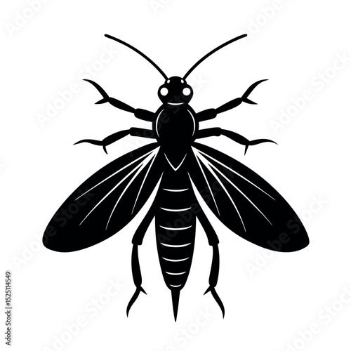 Louse Fly Insect Silhouette Vector Illustration