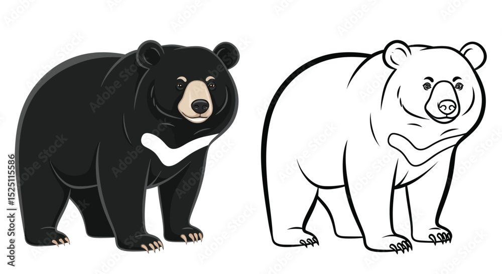 Fototapeta premium Asiatic Black Bear Coloring Page with Detailed Colored and Clear Outline Bear Illustration