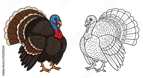 Asian Turkey Coloring Sheet Featuring Full Color and Clean Line Art for Young Farm Learners