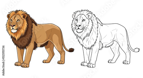 Asiatic Lion Coloring Sheet Featuring Vibrant Full Color and Clean Line Art for Young Learners