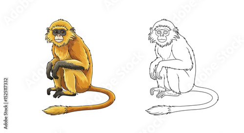Golden Langur Coloring Sheet Featuring Full Color and Clean Line Art for Young Learners