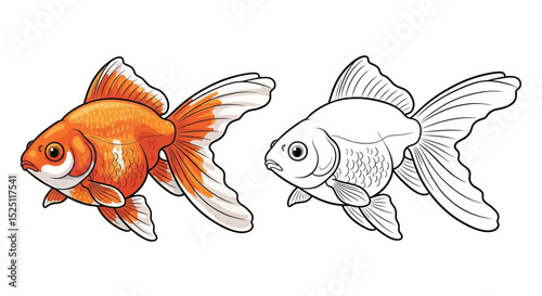 Goldfish Coloring Page with Realistic Colored and Detailed Outline Fish Pair Illustration