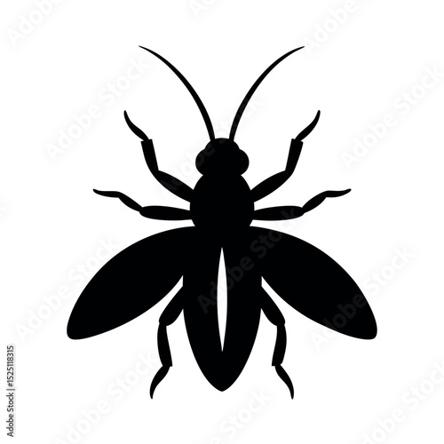 whirligig beetle vector silhouette .eps