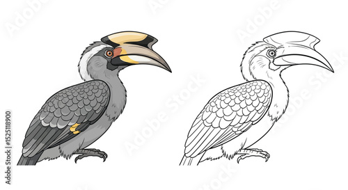 Indian Grey Hornbill Coloring Page with Realistic and Outline Birds for Ornithology