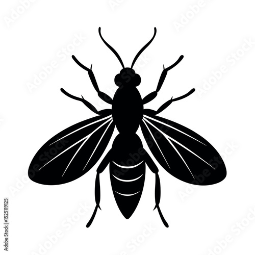 Assassin Bug Insect Silhouette Vector Illustration