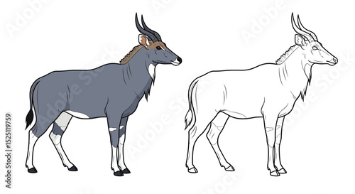 Nilgai Antelope Coloring Page Presenting Realistic and Outline Animal Views