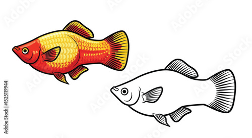 Platy Fish Coloring Page Presenting Realistic and Outline Fish Views for Learning