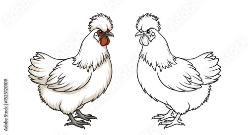 Silkie Chicken Coloring Page with Colored and Outline Versions for Farm Animal Art