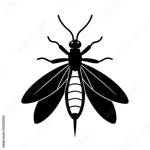 Drugstore Beetle Insect Silhouette Vector Illustration