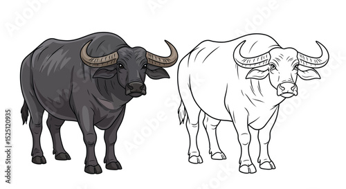 Water Buffalo Coloring Page with Colored and Outline Pair for Farm Animal Art