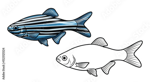 Zebra Danio Coloring Page Presenting Realistic and Outline Fish Illustrations