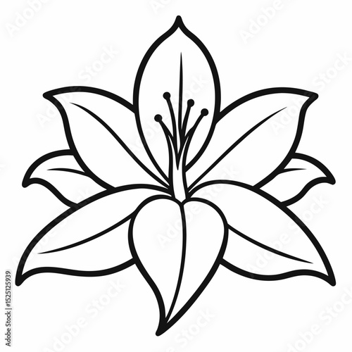 Lily outline icon on white background