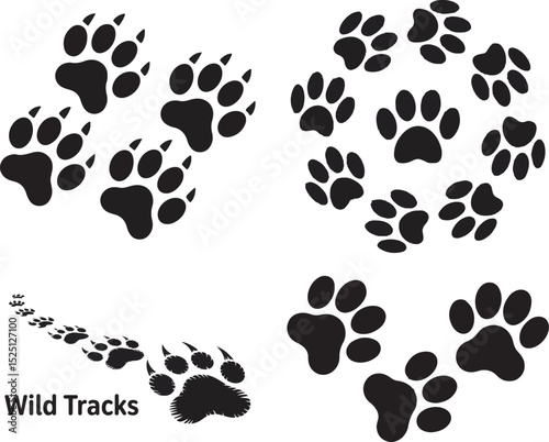 Collection of wild animal footprints featuring paw prints and tracks in black and white