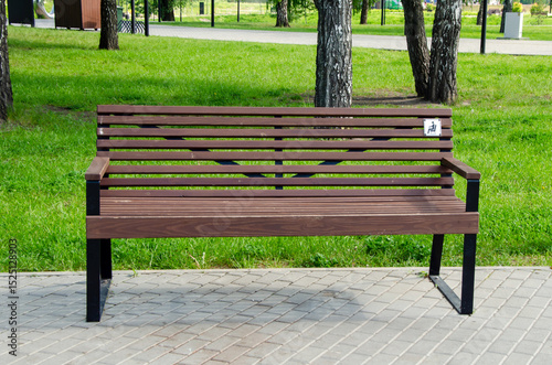 Empty Wooden Bench in a Park Surrounded by Greenery