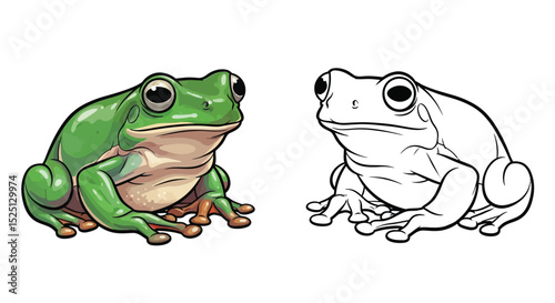 Australian Green Tree Frog Coloring Page with Vibrant Color and Clean Outline for Fun