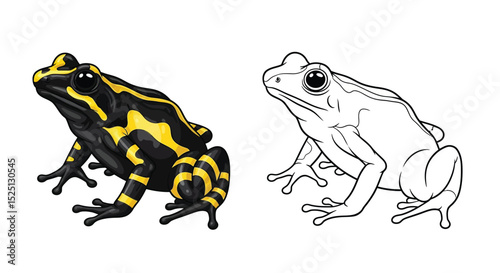 Corroboree Frog Coloring Page with Realistic Full Color and Clean Outline Styles