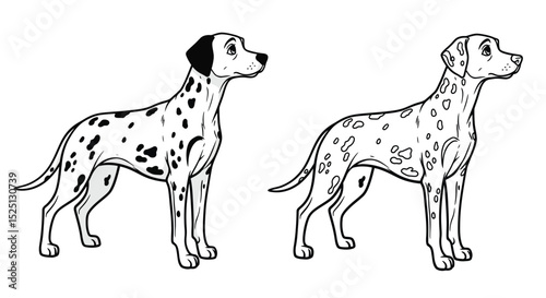 Dalmatian Coloring Page Featuring Detailed Spotted Color and Crisp Outline Art