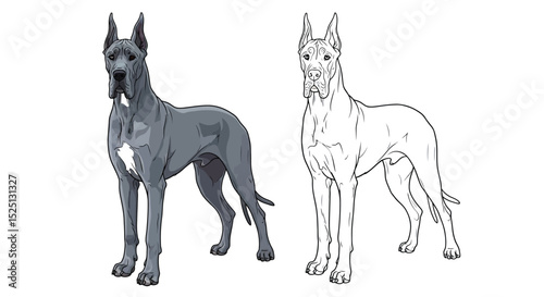 Great Dane Coloring Page with Realistic Full Color and Clean Outline Poses for Fun