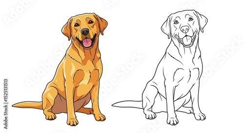Labrador Retriever Coloring Page Featuring Detailed Realistic Color and Crisp Outline Art