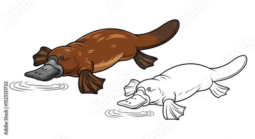 Platypus Coloring Page with Realistic Full Color and Clean Outline for Art Fun