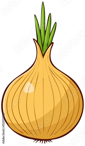 Fresh Whole Onion