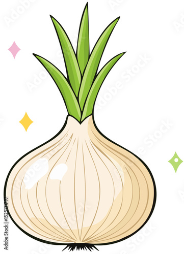 Healthy Brown Onion