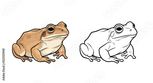 Sandhill Frog Coloring Page Featuring Detailed Full Color and Crisp Outline Art Design
