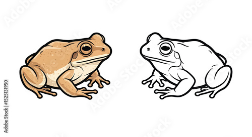 Sandhill Frog Coloring Page with Full Color and Outline View for Learning Fun Art