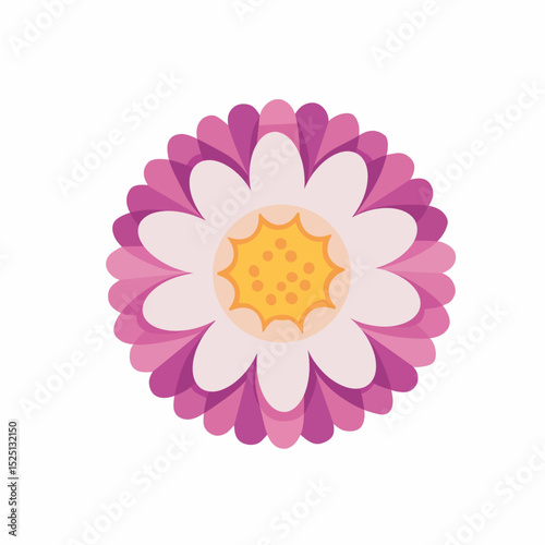 pink dahlia flower