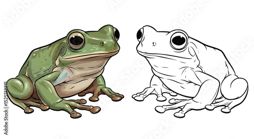 Tasmanian Tree Frog Coloring Page Featuring Detailed Full Color and Crisp Outline Art