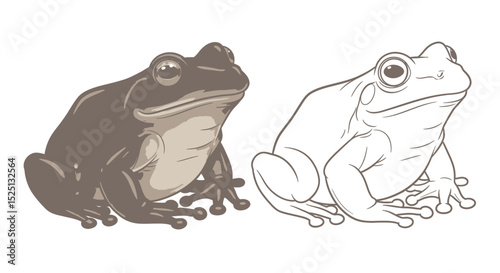 Water Holding Frog Coloring Page Featuring Detailed Full Color and Clean Line Art