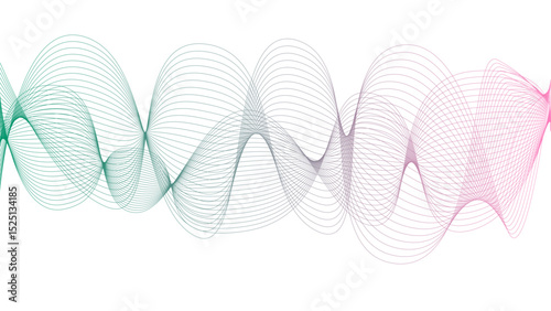 Vector curvy abstract line art wavy flowing dynamic colorful lines white background in concept music or sound, wave, wind, information flow
