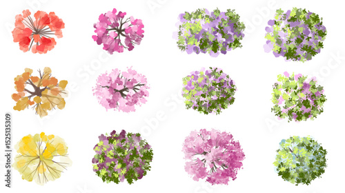 Vertor set of spring blossom tree,bloomimg plants top view for landscape plan,schematic layout,eco environment concept design,watercolor sakura illustration