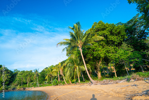 Fototapeta Naklejka Na Ścianę i Meble -  Sea sand beach coconut palm tropical forest blue sky cloud