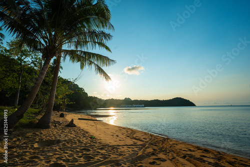 Fototapeta Naklejka Na Ścianę i Meble -  Sea sand beach coconut palm tropical forest blue sky cloud