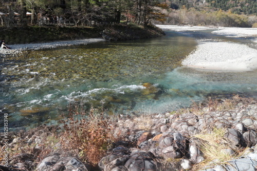 river in the forest