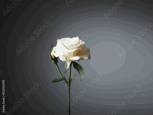 White rose vector on gray background