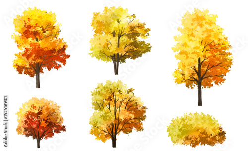 Vertor set of autumn tree,plants side view for landscape elevation and section,eco environment concept design,watercolor ginkgo tree illustration,colorfull